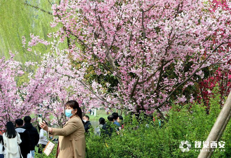 兴庆宫公园花如海 人似潮