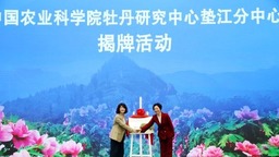 重慶墊江：文旅搭臺 牡丹文化節助推區域經濟高品質發展