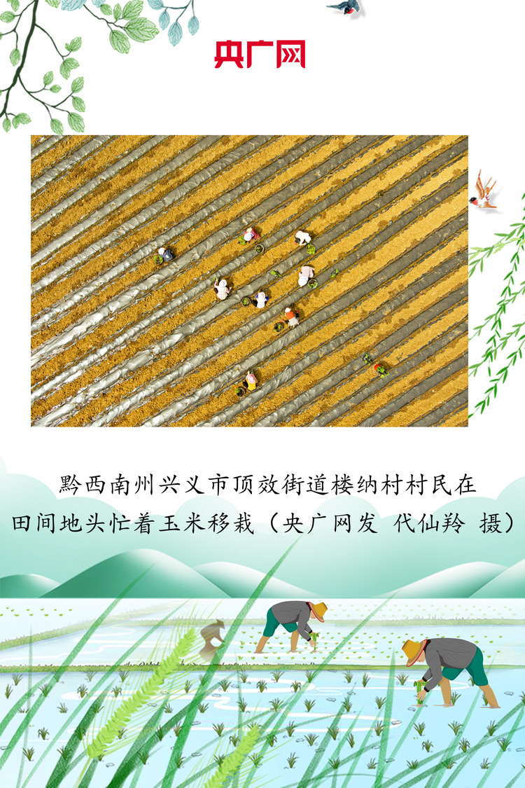 贵州：绘好“春耕图” 孕育“丰收景”