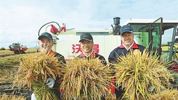 积蓄发展新动能 建设美好新富锦