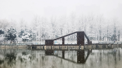 حديقة دونغ هوان بمدينة شي جيا تشوانغ: مناظر الثلوج جميلة مثل لوحات فنية
