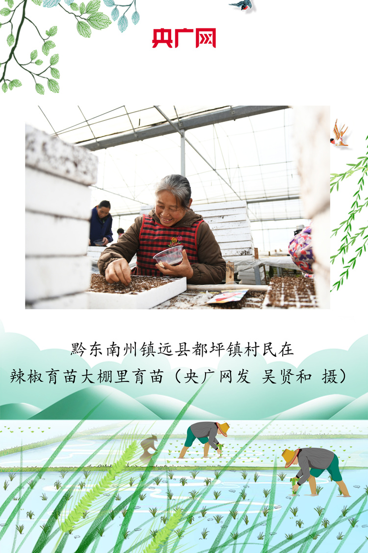 贵州：绘好“春耕图” 孕育“丰收景”