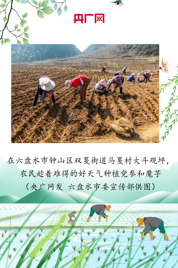 贵州：绘好“春耕图” 孕育“丰收景”