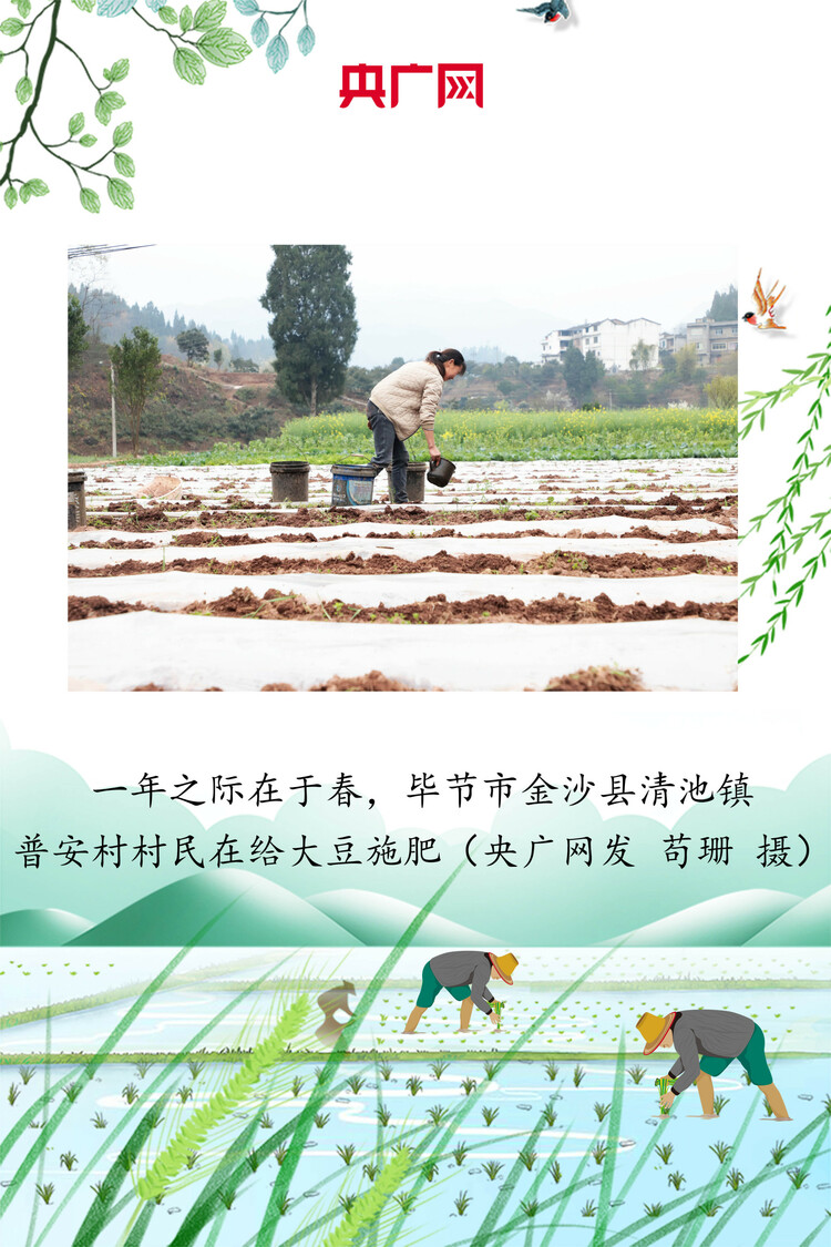 贵州：绘好“春耕图” 孕育“丰收景”