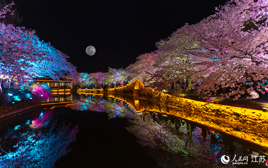 江蘇：“賞花經濟”活力旺