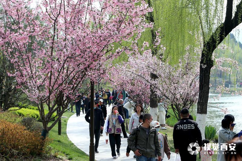 兴庆宫公园花如海 人似潮