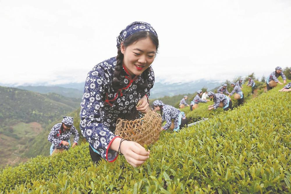 南平順昌：_fororder_2da653a1-fcd1-4d75-8111-7d7b1997e6a1