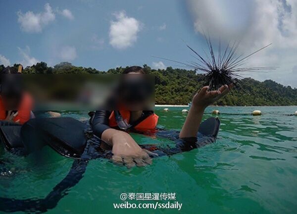 中国游客非法潜水捞海胆和巨蚌? 泰媒:遭蓄意抹黑