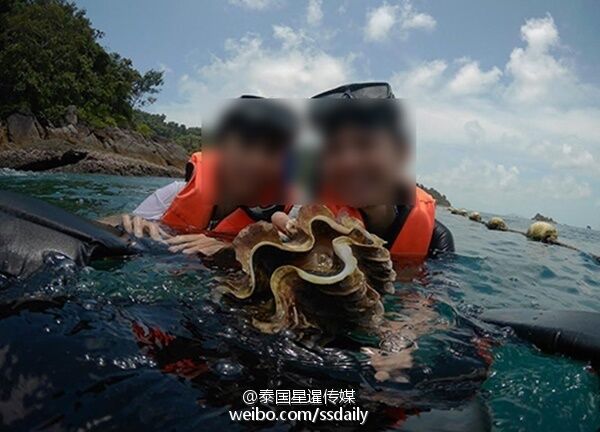 中國遊客非法潛水撈海膽和巨蚌？ 泰媒：遭蓄意抹黑