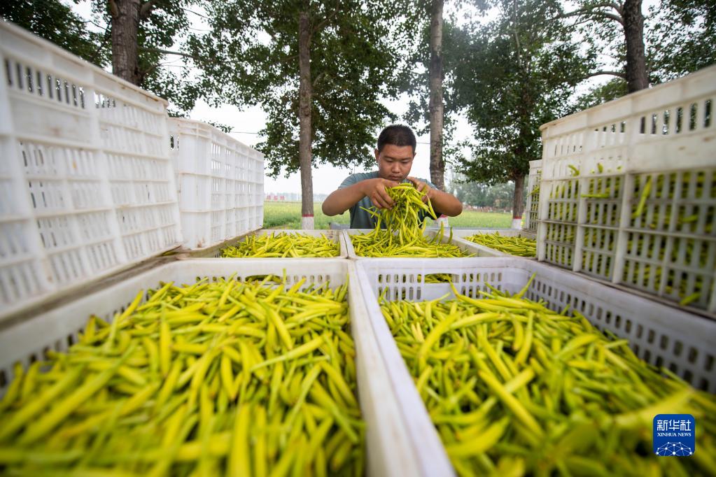 五村十年话变迁——循着习近平总书记山西乡村考察足迹看乡村振兴_fororder_54