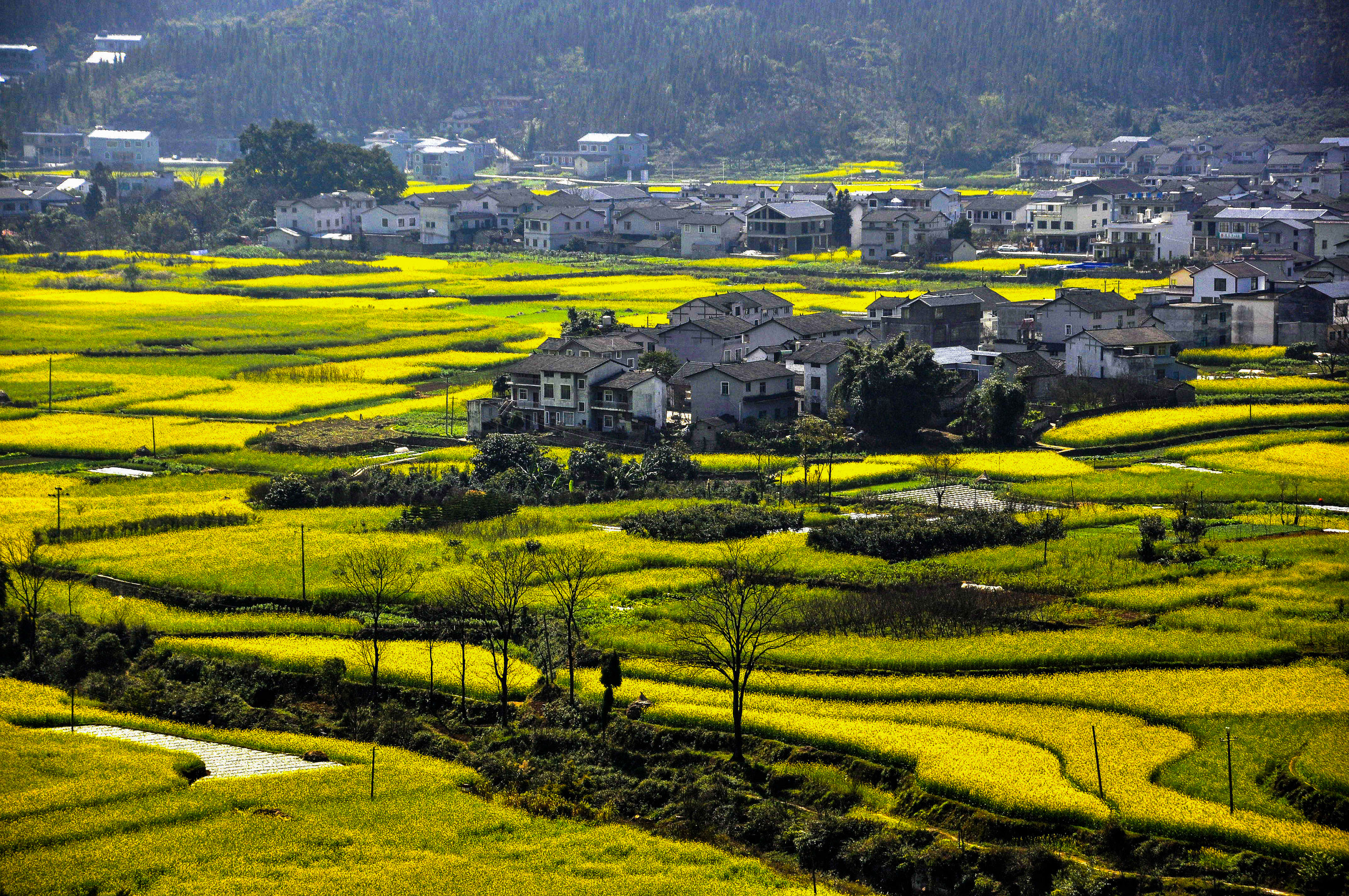 融美景創意舒適為一體｜特色民宿讓黔西南康養旅居活色生香_fororder_微信圖片_20230328082537