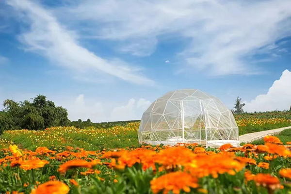 泸州发布2023年十大重点文旅招商项目_fororder_天香花谷升级打造项目