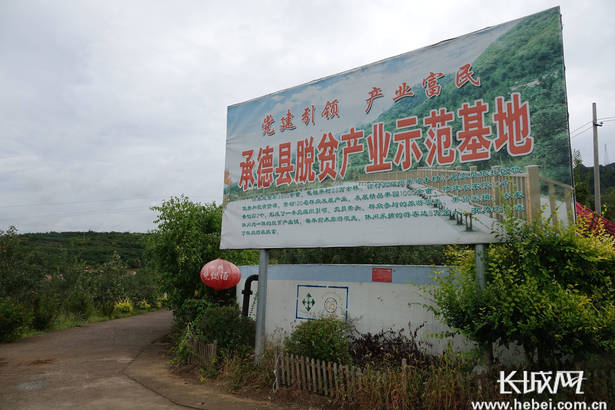 承德县苇子峪村—— 小苹果 大产业 绿色林果业铺就金色致富路