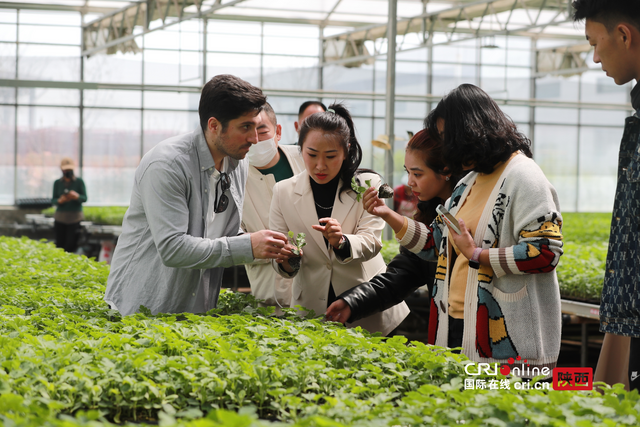 起笔陕西“画像中国” 东府同州揽尽四方客_fororder_图片33