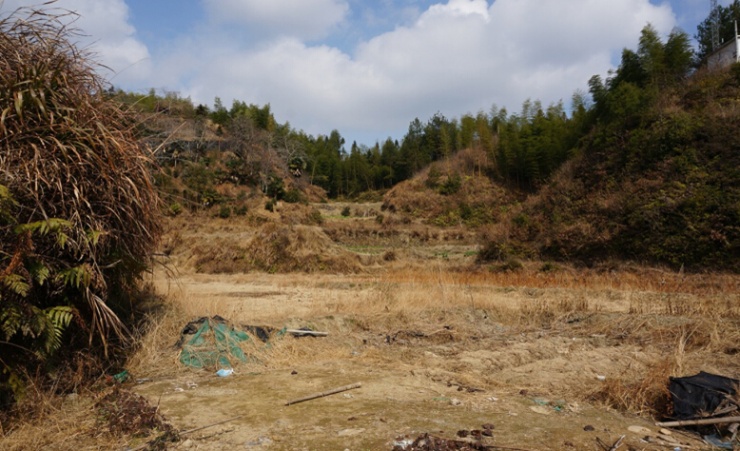 画家教师住深山 将破屋改成文艺小院