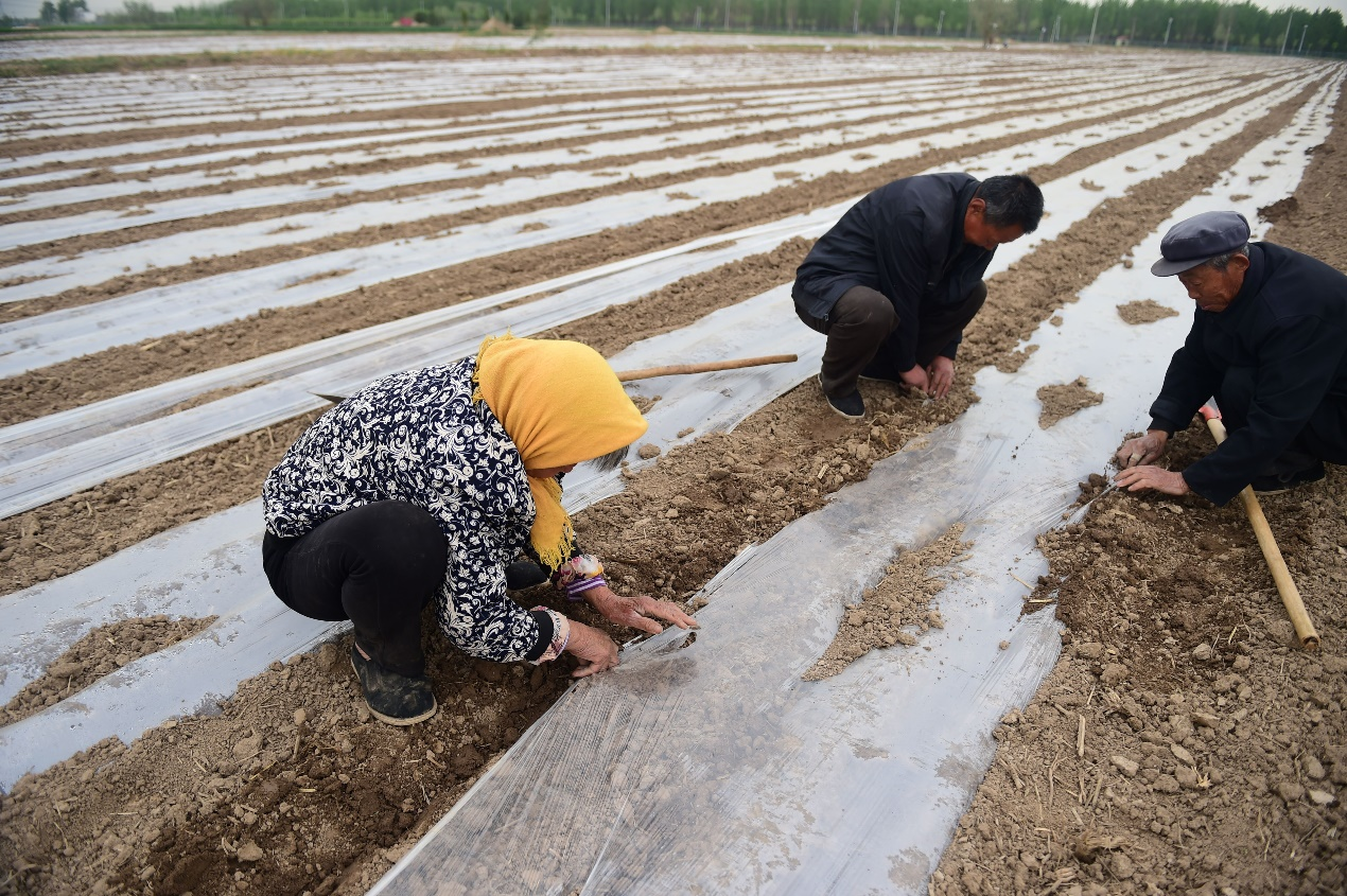 图片默认标题_fororder_图片16