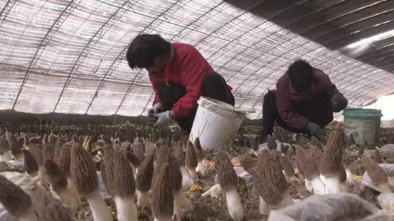 （图集）河北石家庄：“醉”美街巷 景入心房_fororder_59