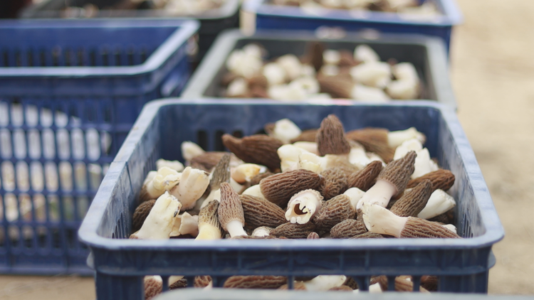 (圖集)河北石家莊:“醉”美街巷 景入心房_fororder_61