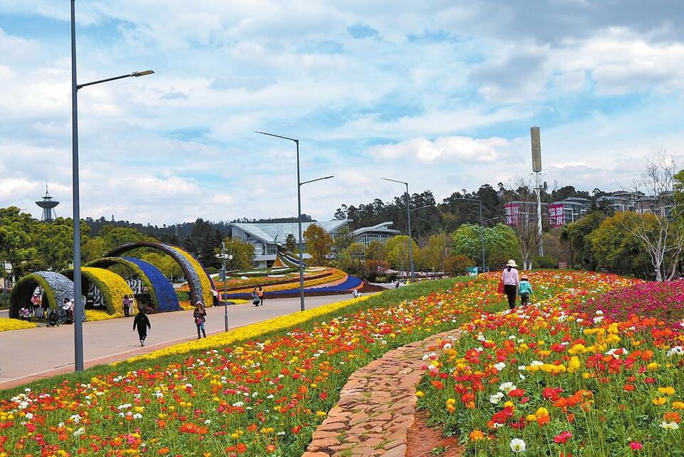 昆明世博园花海铺展大有可观_fororder_ef744