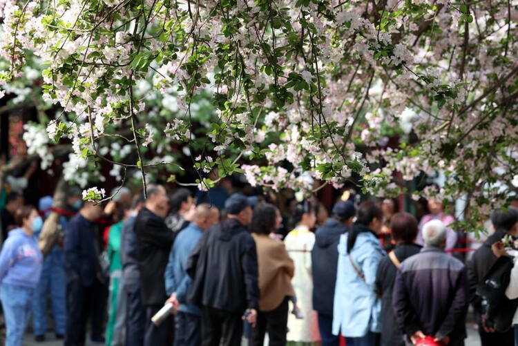 圖片默認標題_fororder_11