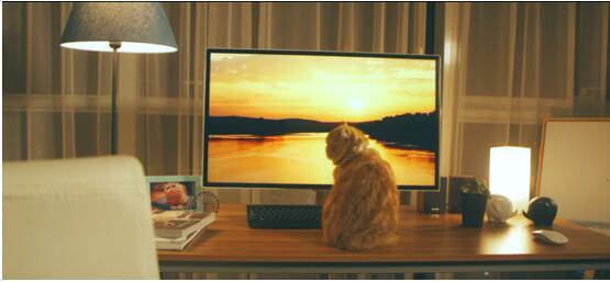 福建五个一网络营销项目完结 助力“清新福建”品牌升级