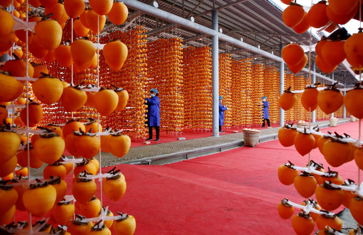 富平優質柿餅首次出口澳大利亞_fororder_圖片110