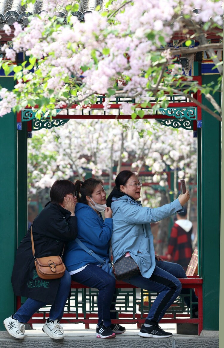 圖片默認標題_fororder_22