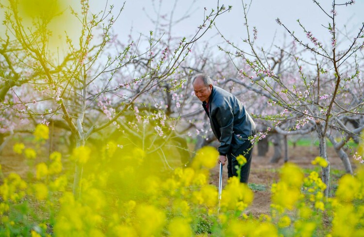 圖片默認標題_fororder_44