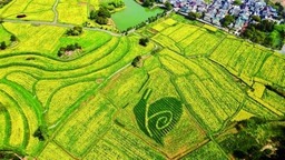 图片默认标题