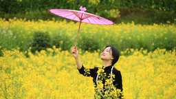 圖片默認標題