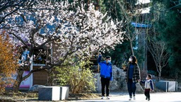 （原創）唐山市路北區：公園春景美如畫