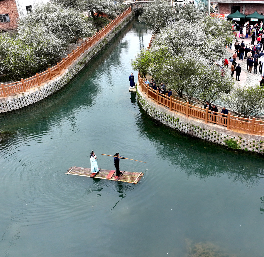 福建南靖：枳實花開“香雪海”