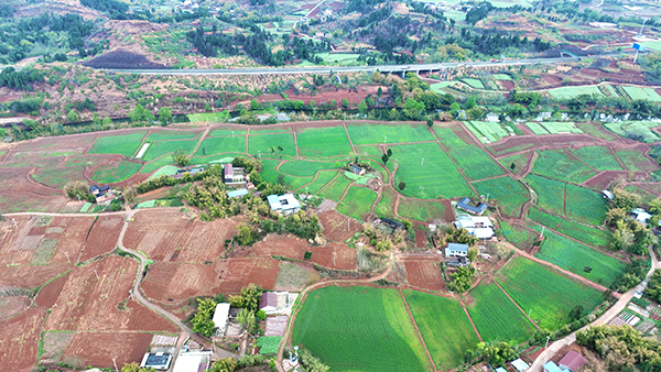 眉山仁寿：旱地换“新装” 改出沃野新“丰”景_fororder_航拍仁寿县富加镇金钟村“旱改水项目”-供图-仁寿县委宣传部-（1）