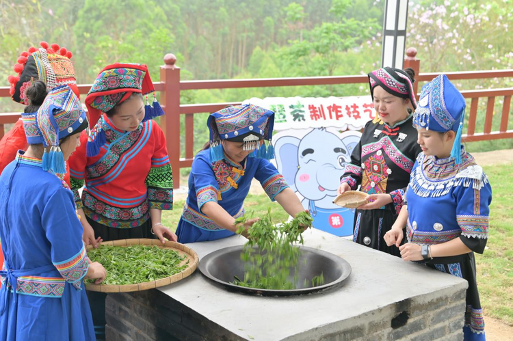 广西来宾：举办茶旅文化活动 邀游客感受壮乡民族风情_fororder_图片10