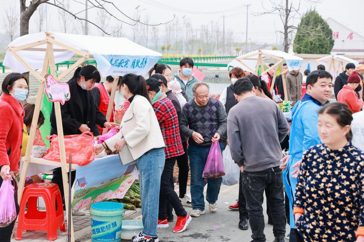 2023中國·肥東張集牡丹文化旅遊節開幕_fororder_圖片3