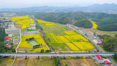 Zhelin Hydropower Station of the State Grid in Jiangxi Province: Increasing the water flow out of the reservoir for spring irrigation and water recharge