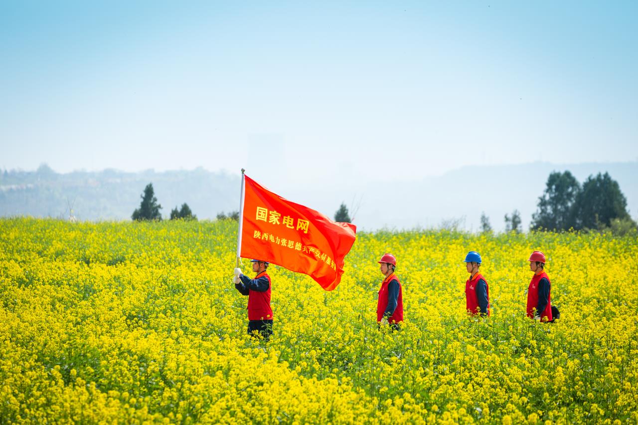 助力文旅发展 咸阳电力护航金色花海_fororder_微信图片_20230401151452