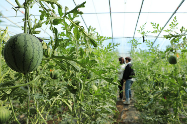 图片默认标题_fororder_图片17