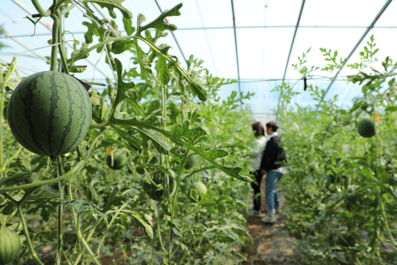 图片默认标题_fororder_图片17