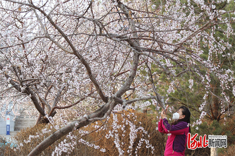 图片默认标题_fororder_hebnewsimg (2)