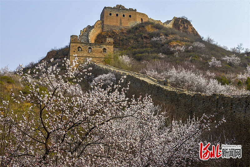 图片默认标题_fororder_hebnewsimg