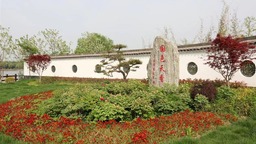 【文化旅游】上海廊下郊野公园全新推出首届“上海湾区牡丹节”