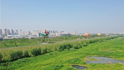 武汉东西湖：以府河之为贡献长江之治 以梧桐之名唤醒生态之雨