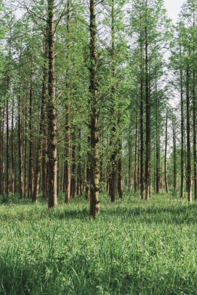 除了岳麓山和橘子洲 “五一”来长沙还有这些景点值得一去_fororder_3