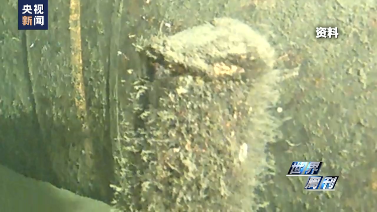 世界周刊丨“北溪”难安