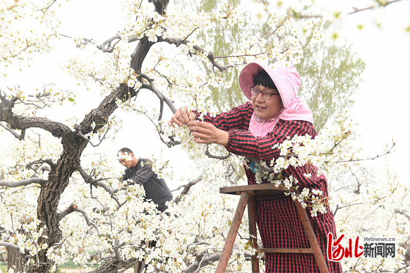 图片默认标题_fororder_hebnewsimg (6)