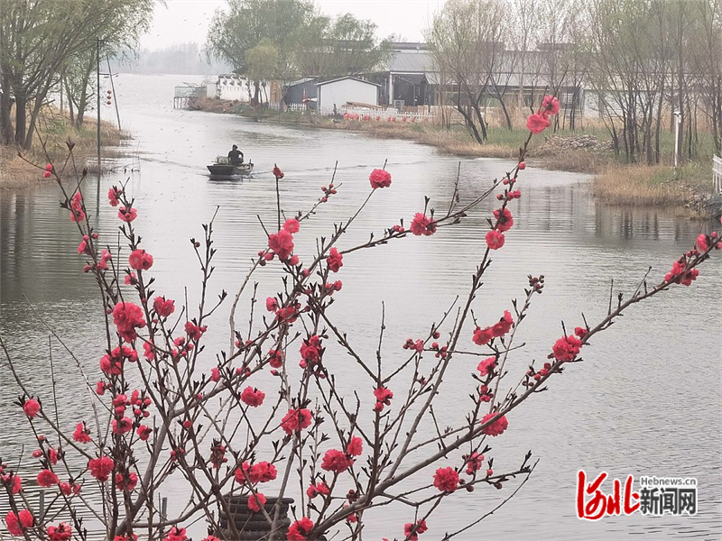 图片默认标题_fororder_hebnewsimg (4)