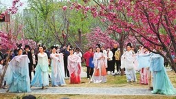 第九届中国（鹤壁）樱花文化节开幕