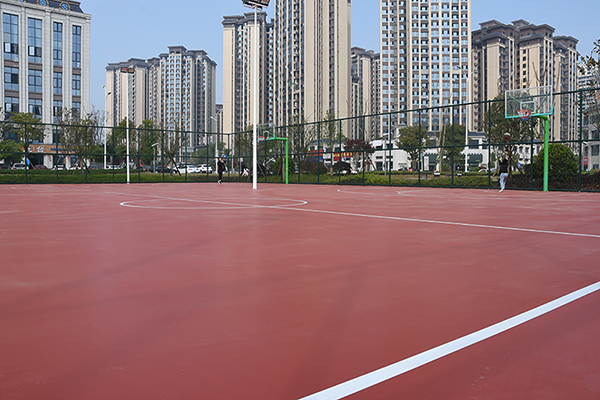 （张）自贡市荣县青阳市民体育公园正式开园_fororder_3青阳市民体育公园