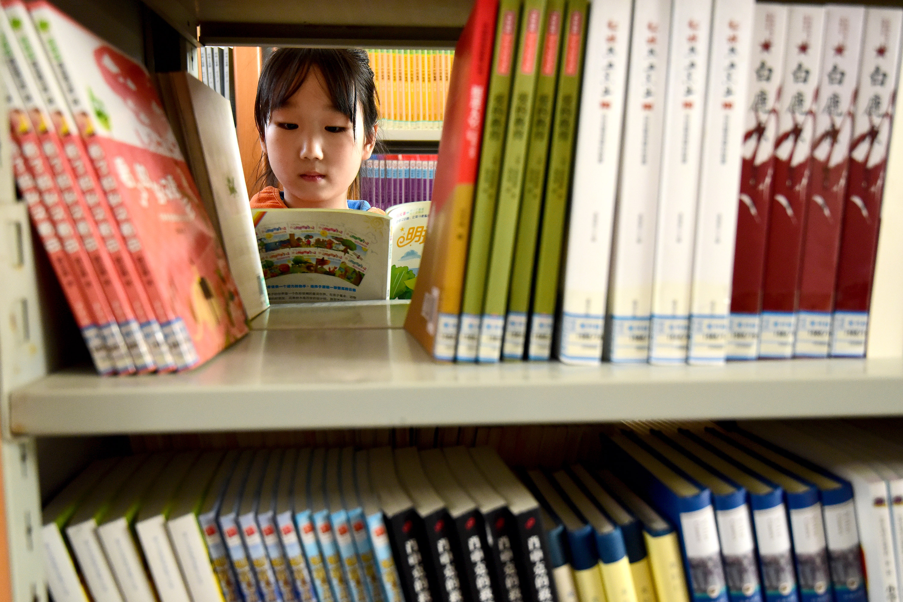 河北邯郸：书香溢校园 阅读伴成长_fororder_04.JPG